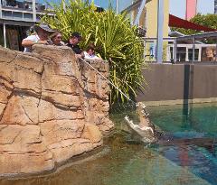 Big Croc Feed Experience Child - Gift Card